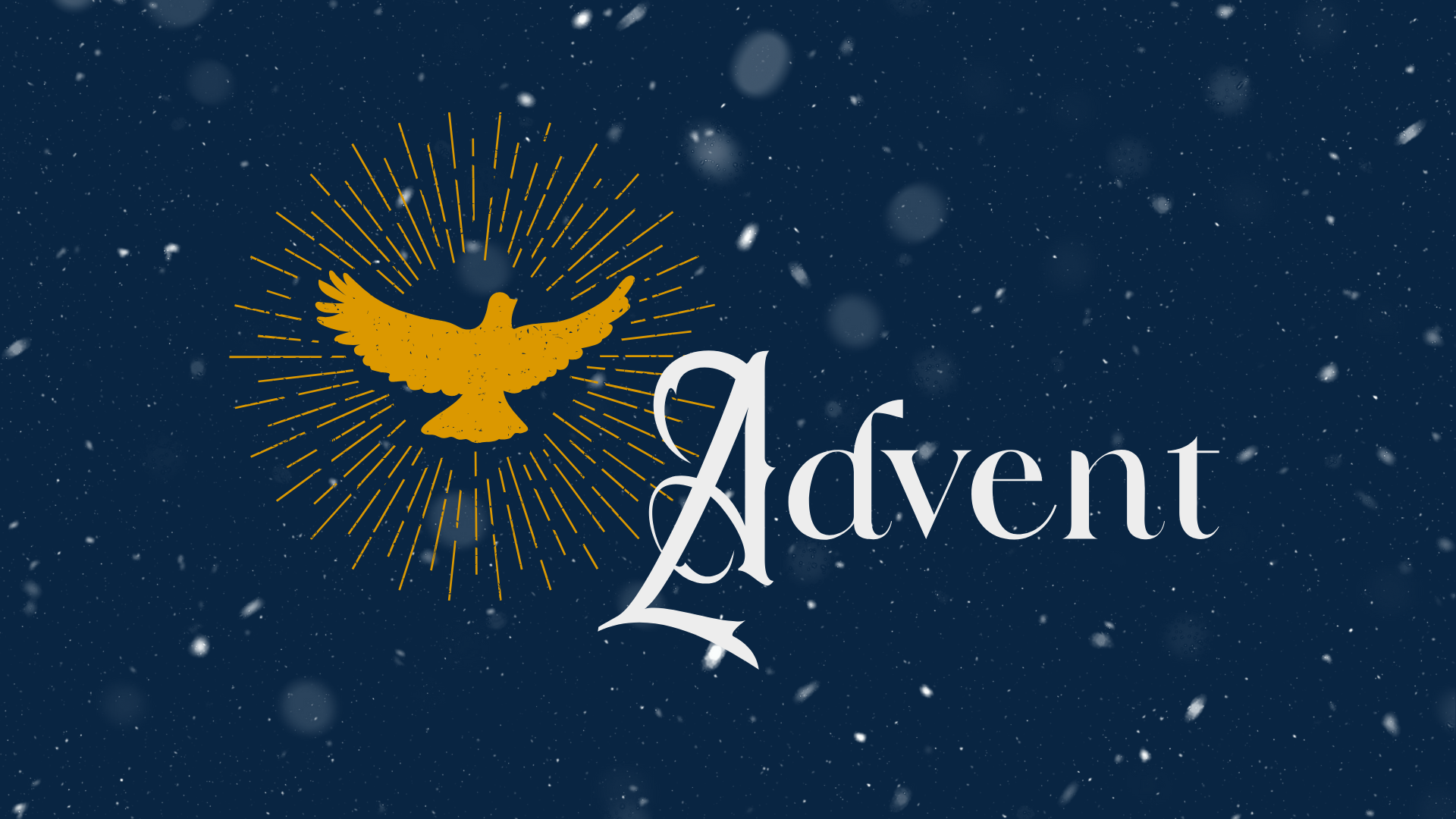 Advent 25 – Joy